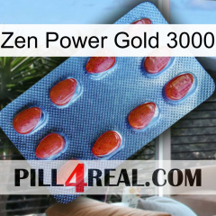 Zen Power Gold 3000 06